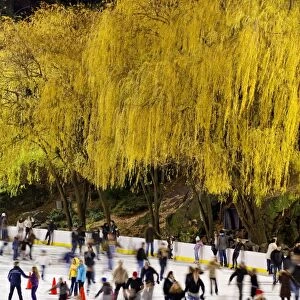 Wollman Ice rink in Central Park, Manhattan, New York City, New York, United States of America