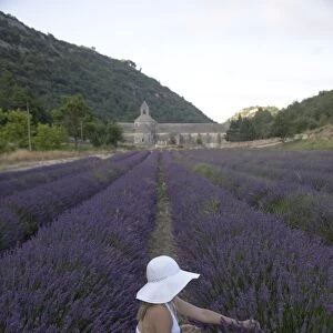 Woman in a lavender field, Senanque Abbey, Gordes, Provence, France, Europe