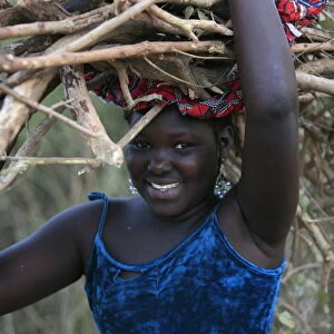 Wood chore, Keur Moussa, Senegal, West Africa, Africa