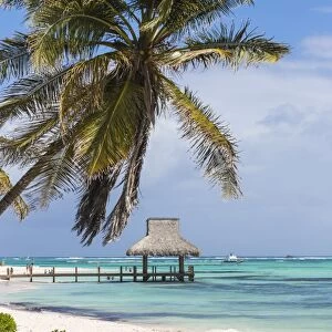 Wooden pier with thatched hut, Playa Blanca, Punta Cana, Dominican Republic, West Indies