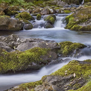 A woodland stream, the East Okement River, flowing off the northern slopes of Dartmoor