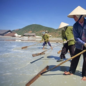 Workers with rakes at the salt mines at Cam Ranh near Nha Trang