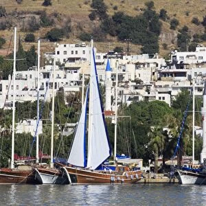 Yacht Marina, Bodrum, Anatolia, Turkey, Asia Minor, Eurasia