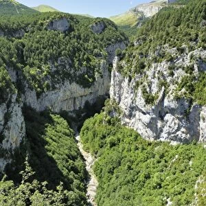 Yaga River and karst limestone cliffs of Escuain gorge, Ordesa and Monte Perdido National Park, Huesca, Aragon, Spain, Europe