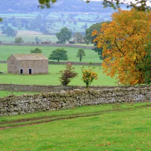 Yorkshire Dales, Yorkshire, England, UK, Europe