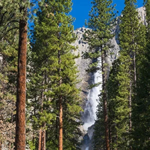 Yosemite Falls, Yosemite National Park, UNESCO World Heritage Site, California, United