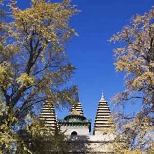 Zhen Jue temple, Beijing, China, Asia