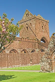 Sweetheart Prints: The 13th century Cistercian Sweetheart Abbey