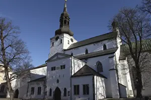 Estonia Prints: The 13th-century Dome Church (The Cathedral of Saint Mary the Virgin)