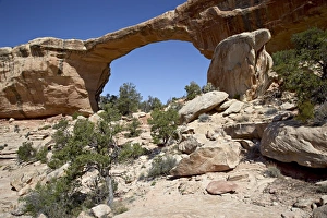 Natural Bridges Prints: 27138_work
