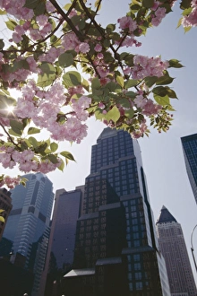 Fragile Prints: 50th Street looking west to 7th Avenue