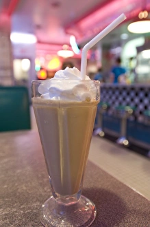 Images Dated 15th July 2008: The 66 Diner along historic Route 66, Albuquerque, New Mexico, United States of America