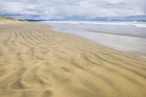 Northland Prints: 90 Mile Beach, Northland, North Island, New Zealand, Pacific