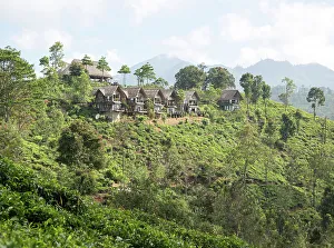 Cabins Prints: 98 Acres resort luxury lodges, Ella, Badulla District, Uva Province, Sri Lanka, Asia