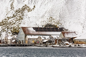 Whaling Prints: The abandoned Norwegian Whaling Station at Stromness Bay
