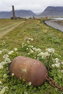 Whaling Prints: Abandoned whale shore processing station, Talknafjorour, Iceland, Polar Regions