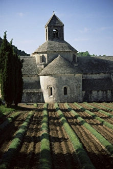 Gordes Prints: Abbaye de Senanque, Gordes, Vaucluse, Provence, France, Europe