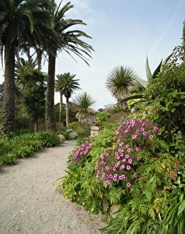 Abbey Gardens