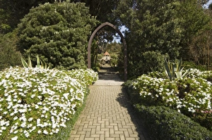 The Abbey Gardens