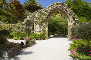 Abbey Gardens, Isle of Tresco, Isles of Scilly, United Kingdom, Europe