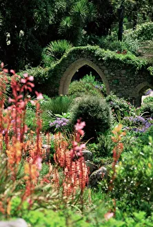 Abbey Gardens, Tresco, Isles of Scilly, United Kingdom, Europe