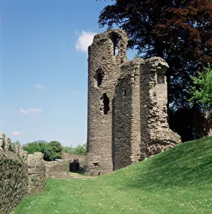 Monmouthshire Prints: Abergavenny Castle