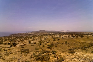 Images Dated 28th March 2008: Abiata-Shala National Park, Ethiopia, Africa