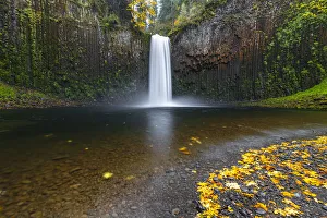 Oregon Prints: Abiqua Falls in autumn, Scotts Mills, Marion county, Oregon, United States of America