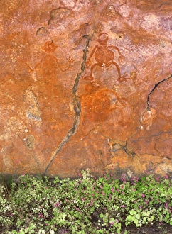 Rock Cliffs Prints: Aboriginal painted figures with flowers below rock after rain, near King Edward River