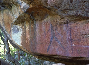 Rock Art Prints: Aboriginal paintings on rock, below Little Mertens Falls, Kimberley, West Australia