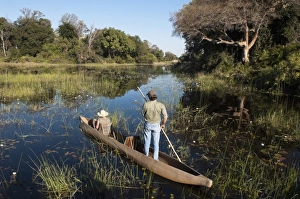 Images Dated 5th June 2009: Abu Camp, Okavango Delta, Botswana, Africa