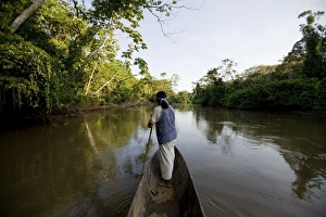 Images Dated 6th September 2009: An Achuar man spear fishing on a tributary of the Amazon, Ecuador, South America