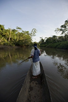 Images Dated 6th September 2009: An Achuar man spear fishing on a tributary of the Amazon, Ecuador, South America