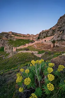 Photosynthesis Prints: Acrocorinth historic castle on top of the mountain at sunset with Euphorbia characias (Mediterranean spurge)