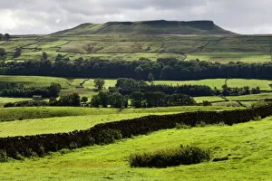 Lush Gallery: Addlebrough from Askrigg in Wensleydale, Yorkshire Dales, North Yorkshire, Yorkshire, England