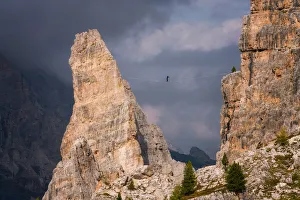 Belluno Prints: Adventure seeker high wire walking in Cinque Torri, Belluno, Dolomites, Italy, Europe