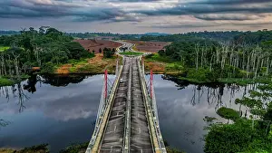 Central Africa Prints: Aerial of a bridge cutting through the jungle to the future capital Ciudad de la Paz