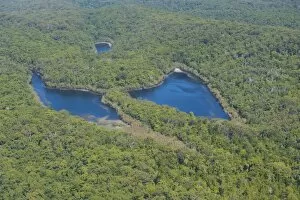 Aerial of the Butterfly Lakes, Fraser Island, UNESCO World Heritage Site, Queensland, Australia, Pacific
