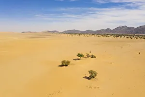 Aerial of crabs claw Arakao sand dune, Tenere Desert, Sahara, Niger, Africa