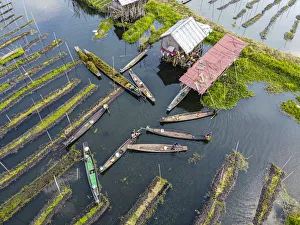 Shan State Prints: Aerial by drone of canoes in the floating gardens, Inle Lake, Shan state, Myanmar (Burma)