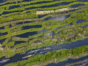 Shan State Prints: Aerial by drone of the floating gardens, Inle Lake, Shan state, Myanmar (Burma), Asia