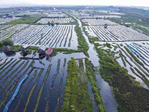 Aerial by drone of the floating gardens, Inle Lake, Shan state, Myanmar (Burma), Asia