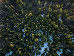 Aerial of forest landscape near Nucsoara, Arges County, Muntenia, Romania, Europe