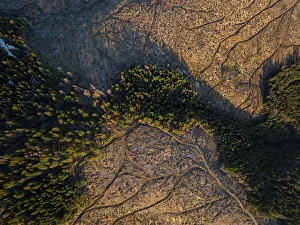 Aerial of forest landscape near Nucsoara, Arges County, Muntenia, Romania, Europe