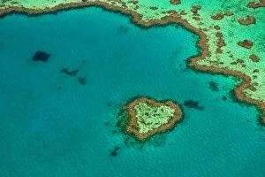 Images Dated 18th September 2008: Aerial of the Great Barrier Reef, UNESCO World Heritage Site, Queensland, Australia, Pacific
