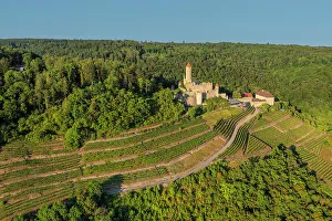 Viniculture Prints: Aerial of Hornberg Castle, Neckarzimmern