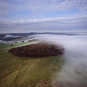 South Downs Prints: Aerial image of Arundel Park near Arundel Castle, South Downs, West Sussex