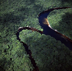 Curve Prints: Aerial image of the confluence of Paikwa River with Kako River, Upper Mazaruni District