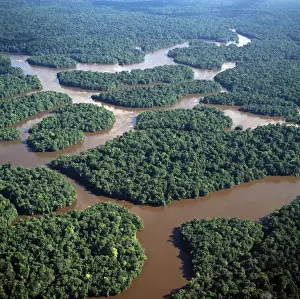 Rain Forest Prints: Aerial image of the Lower Mazaruni River with islands of tropical rain forest