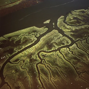 Lancashire Prints: Aerial image of Salt Marsh on River Lune, Lancaster, Lancashire, England
